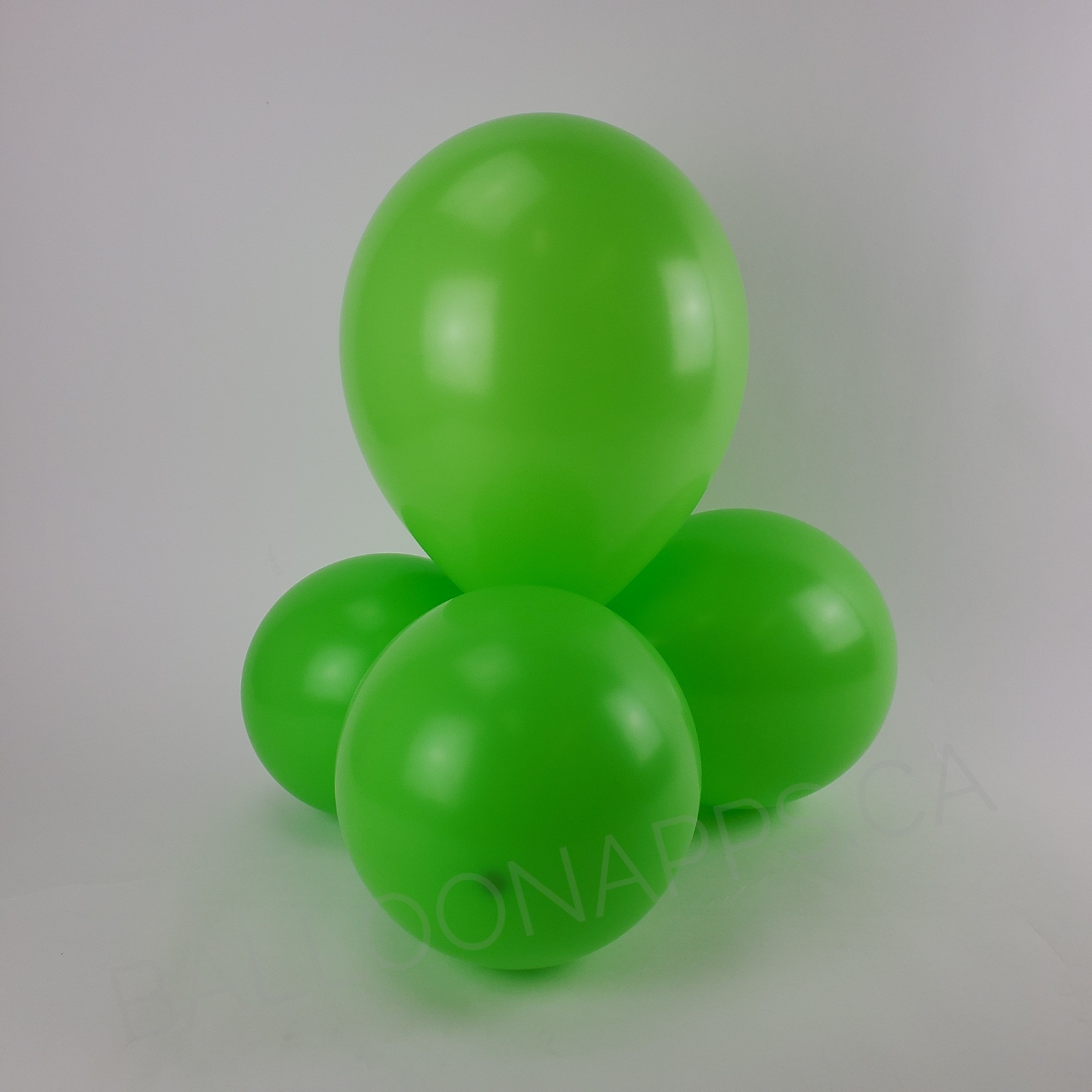 SEM 260 Deluxe Key Lime Balloons SEMPERTEX Balloons Supplier In Canada ...