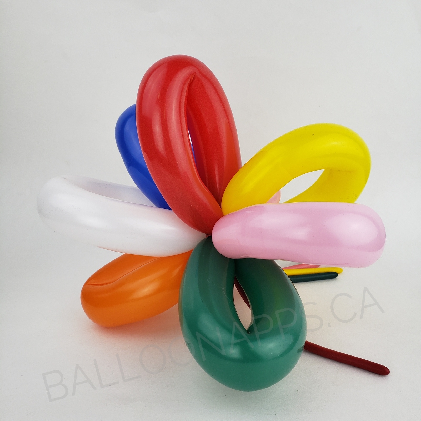 10 count 260 Betallatex party twist latex balloon fashion assortment 