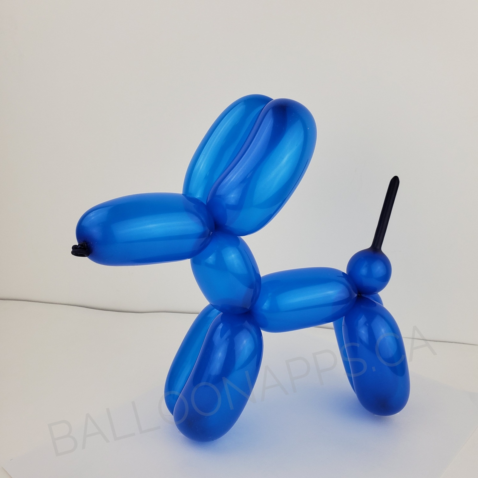 260 Crystal Blue balloons Betallic Balloons supplier in Canada