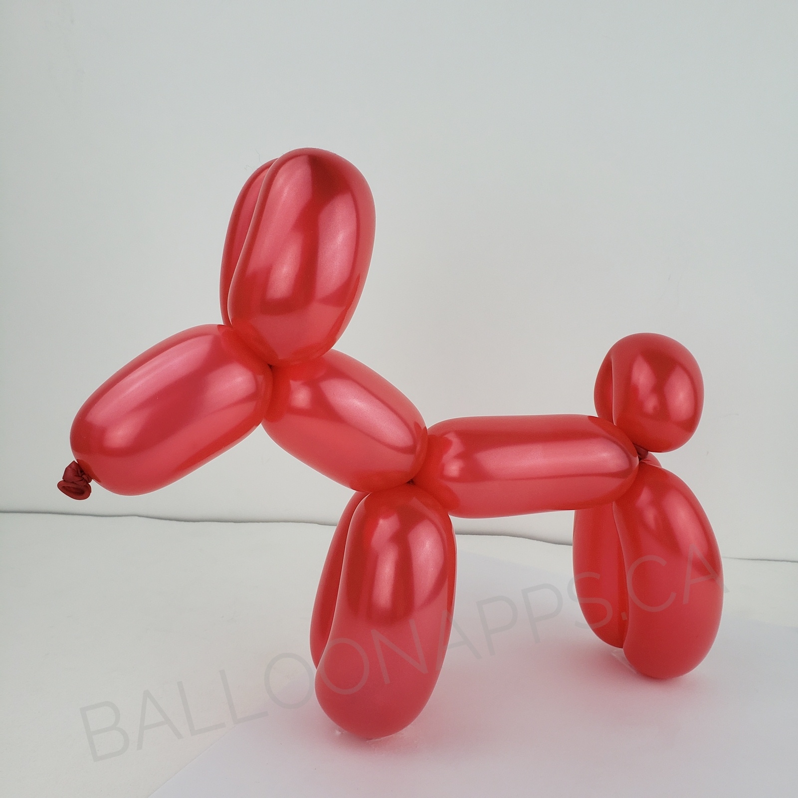 260 Metallic Red Balloons Sempertex Balloons Supplier In Canada 