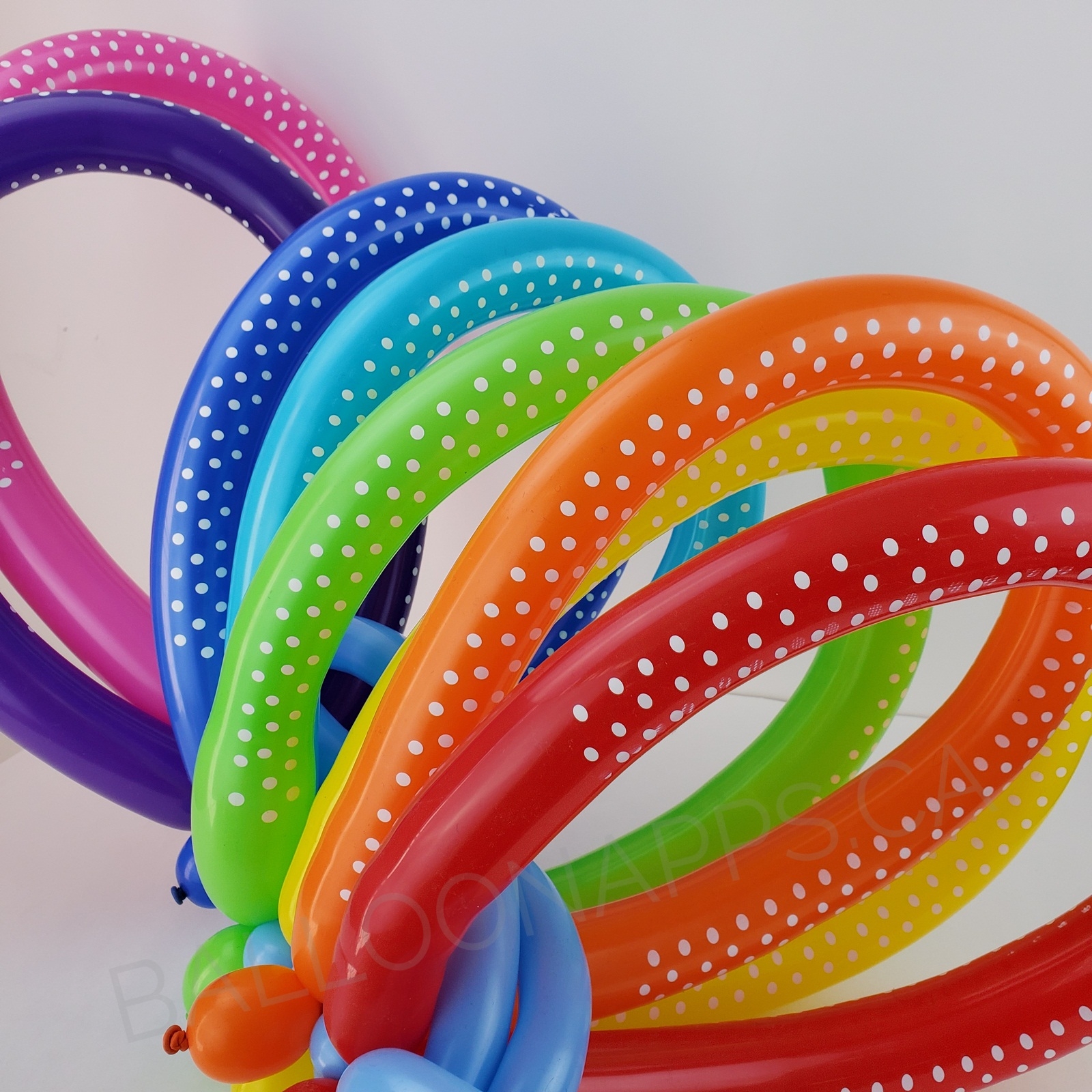 260 *Polka Dot Deluxe Fashion Assorted balloons SEMPERTEX Balloons