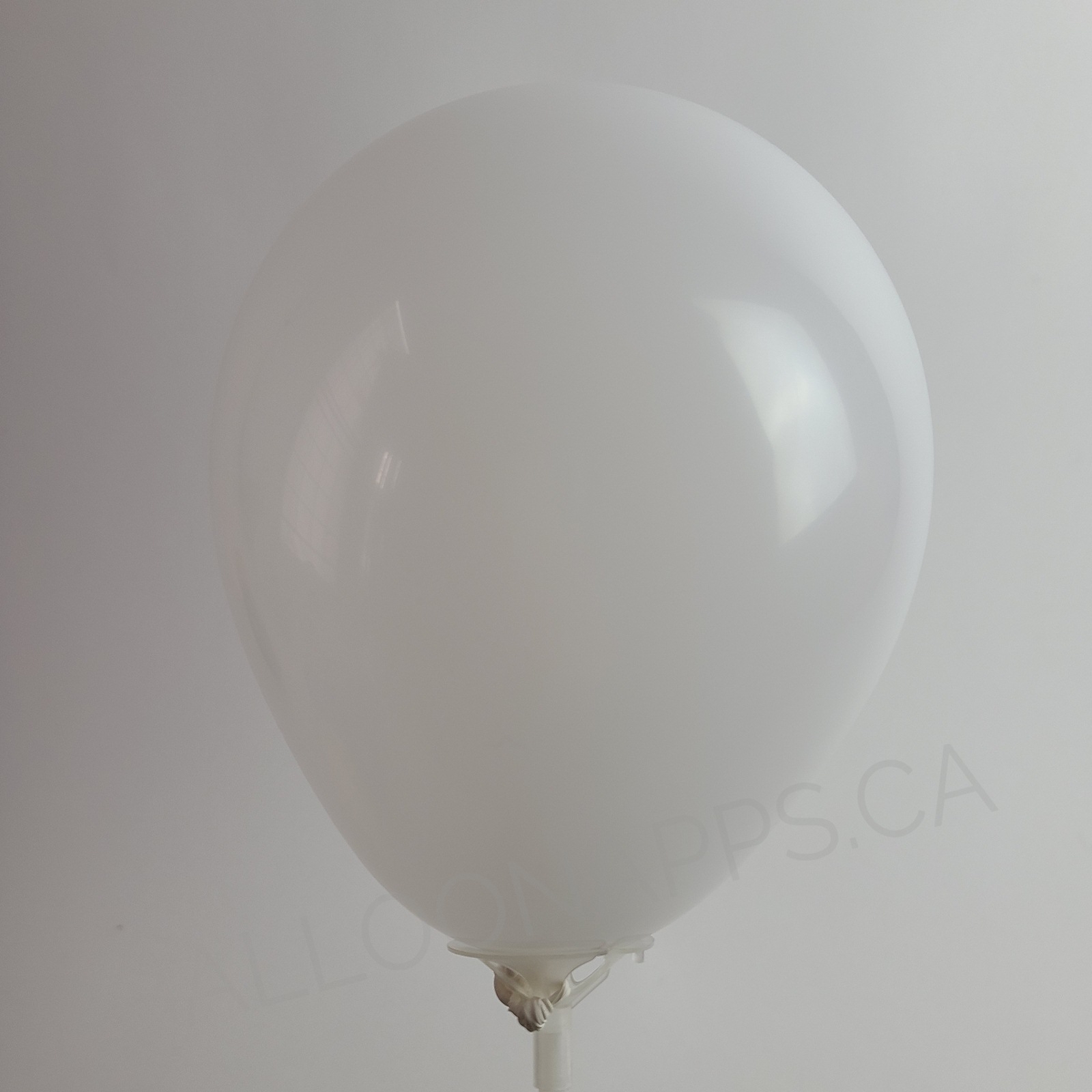 TUFTEX (50) 5" White balloons