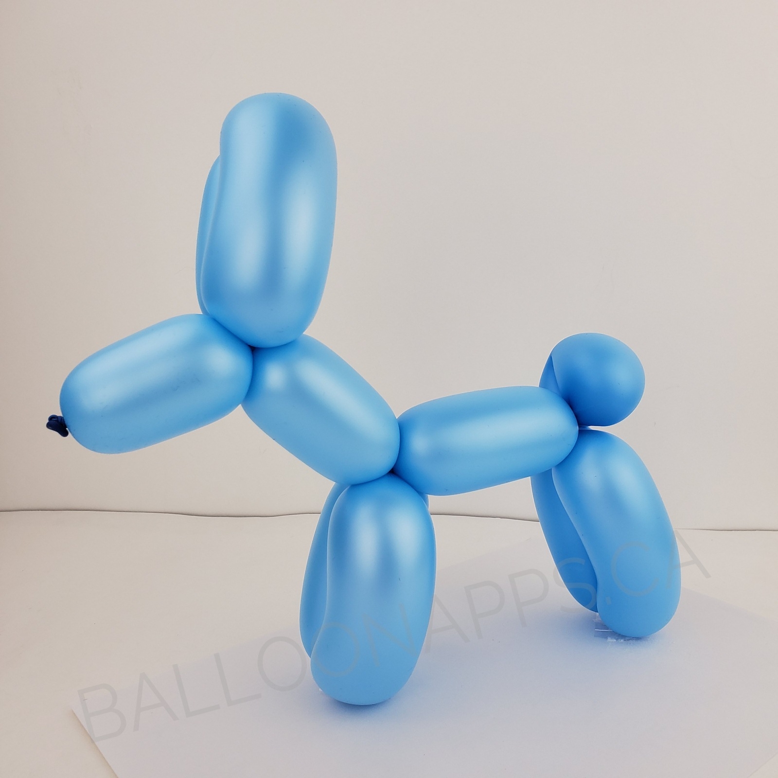 260 Neon Blue balloons SEMPERTEX Balloons supplier in Canada ...