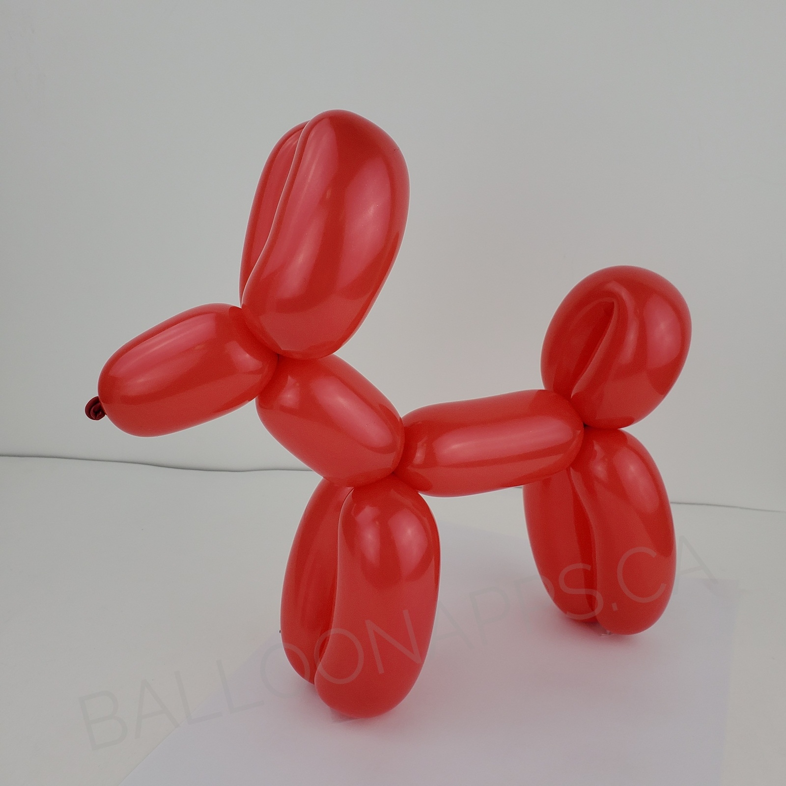 260 Fashion Red balloons balloons - Betallic BETALLATEX Balloons ...