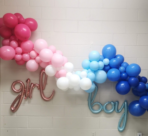 Gender Reveal Garland Gender Reveal Decorations Girl or Boy Decorations Pink or Blue Boy or Girl Garland Gender Reveal Party